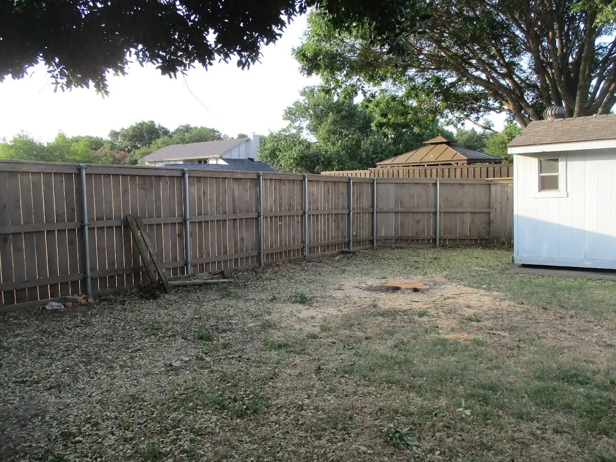 Cleared yard after professional tree removal in Sea Girt
